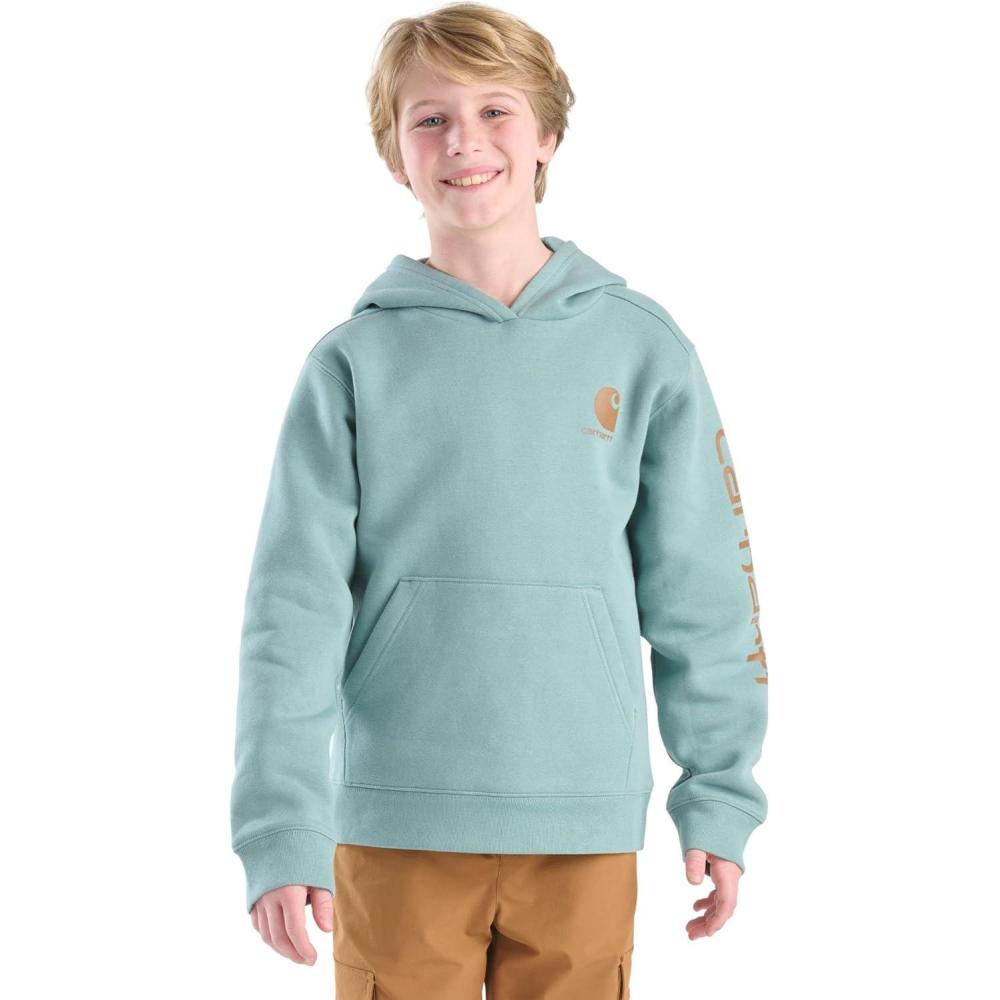 imageCarhartt Kids CA6272 LongSleeve Graphic Sweatshirt  BoysPatina