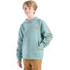 Carhartt Kid’s CA6272 Long-Sleeve Graphic Sweatshirt – Boys(Patina)