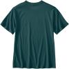 Carhartt Men’s 106531 Relaxed Fit Lightweight Short-Sleeve Script Graphic T-Shi(Greenstone Heather)
