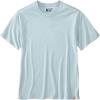 Carhartt Mens Relaxed Fit Lightweight Short-Sleeve Plane Mountain T-Shirt(Early Fog)