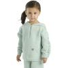 Carhartt girls Long-sleeve Half-zip Hooded Sweatshirt(Pastel Green)