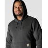 Carhartt mens Force Relaxed Fit Lightweight Logo Graphic Sweatshirt(Carbon Heather)