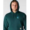 Carhartt mens Force Relaxed Fit Lightweight Logo Graphic Sweatshirt(Greenstone)