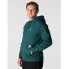 Carhartt mens Force Relaxed Fit Lightweight Logo Graphic Sweatshirt(Greenstone)