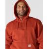 Carhartt mens Rain Defender Loose Fit Heavyweight Quarter-zip Sweatshirt(Spice Red)