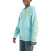 Carhartt Kid’s CA6272 Long-Sleeve Graphic Sweatshirt – Boys(Gulf Blue)