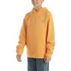 Carhartt Kid’s CA6272 Long-Sleeve Graphic Sweatshirt – Boys(Tangerine)