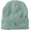 Carhartt Men’s Tonal Patch Beanie(Patina)