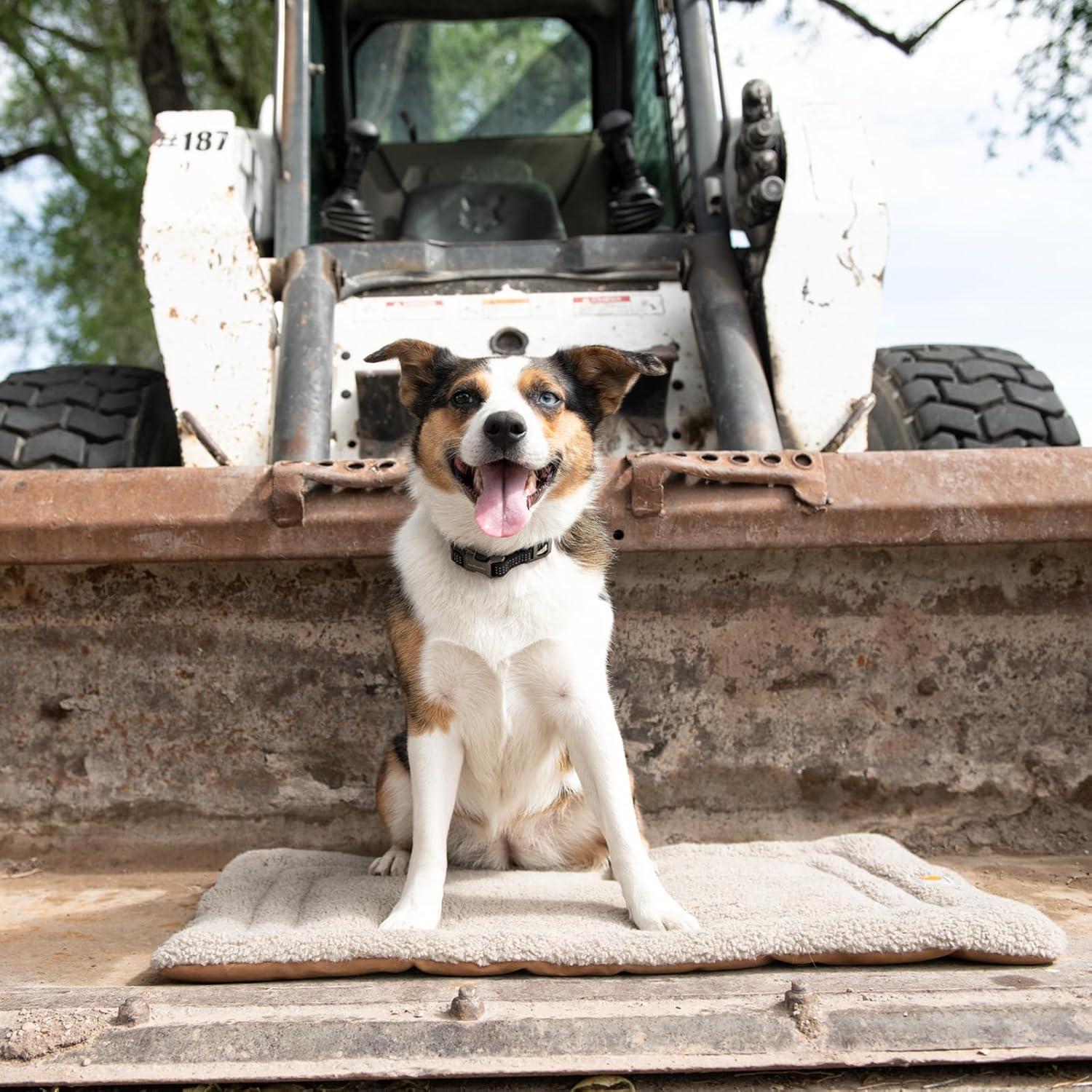 imageCarhartt Durable Firm Duck Sherpa Top Dog Napper Pad Washable Duck Canvas Pads for Dogs Sherpa Top Napper Pad Carhartt Brown MediumSherpa Top Napper Pad Carhartt Brown