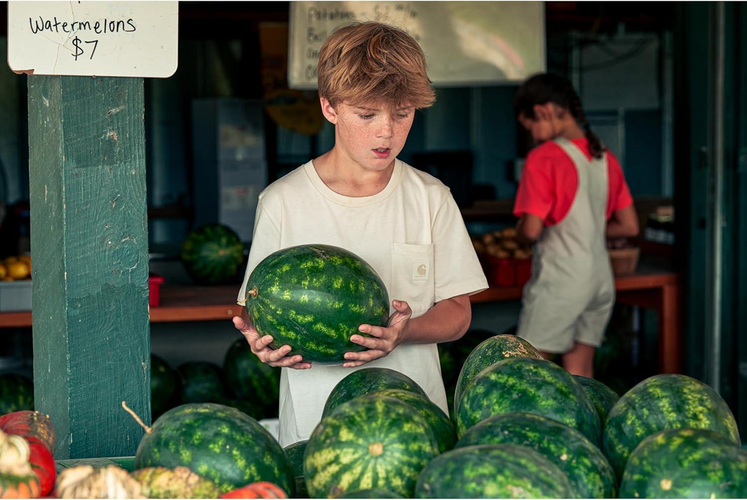 imageCarhartt Kids CA6655 ShortSleeve Pocket TShirt UnisexTurtledove Tonal