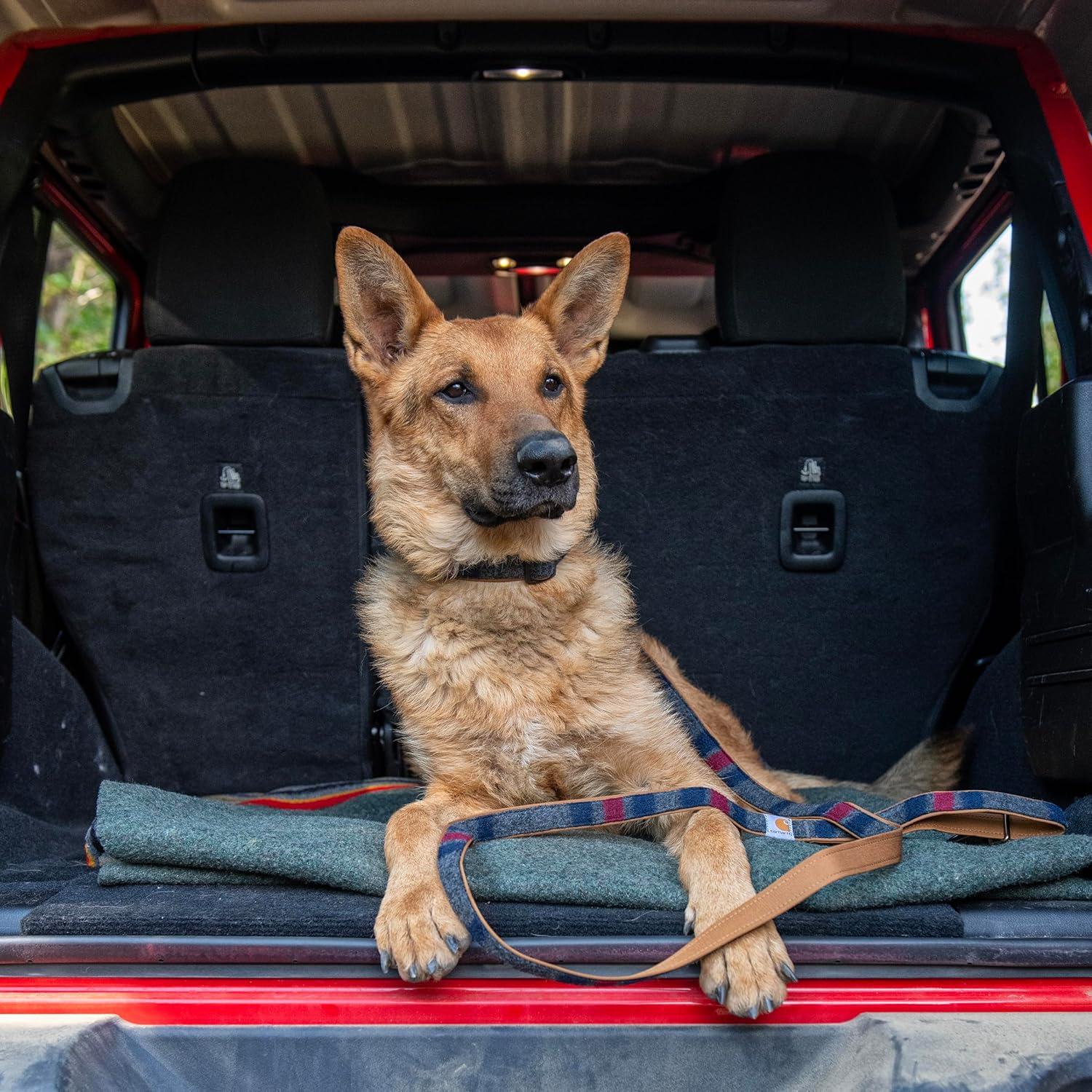 imageCarhartt Pet Durable Nylon Duck Leashes for Dogs Reflective Stitching for Visibility Blanket Stripe One SizeBlanket Stripe