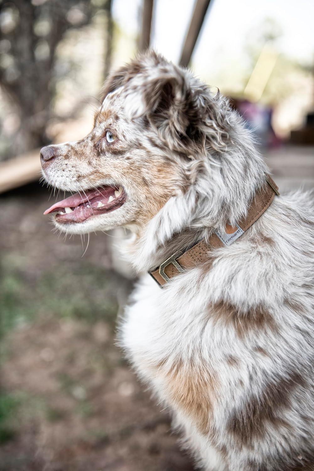 imageCarhartt Pet Fully Adjustable Webbing Collars for Dogs Reflective Stitching for Visibility Blanket Stripe LargeCarhartt Brown Nylon Canvas Webbing