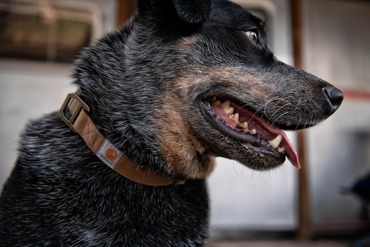 imageCarhartt Pet Fully Adjustable Webbing Collars for Dogs Reflective Stitching for Visibility Blanket Stripe LargeCarhartt Brown Nylon Canvas Webbing