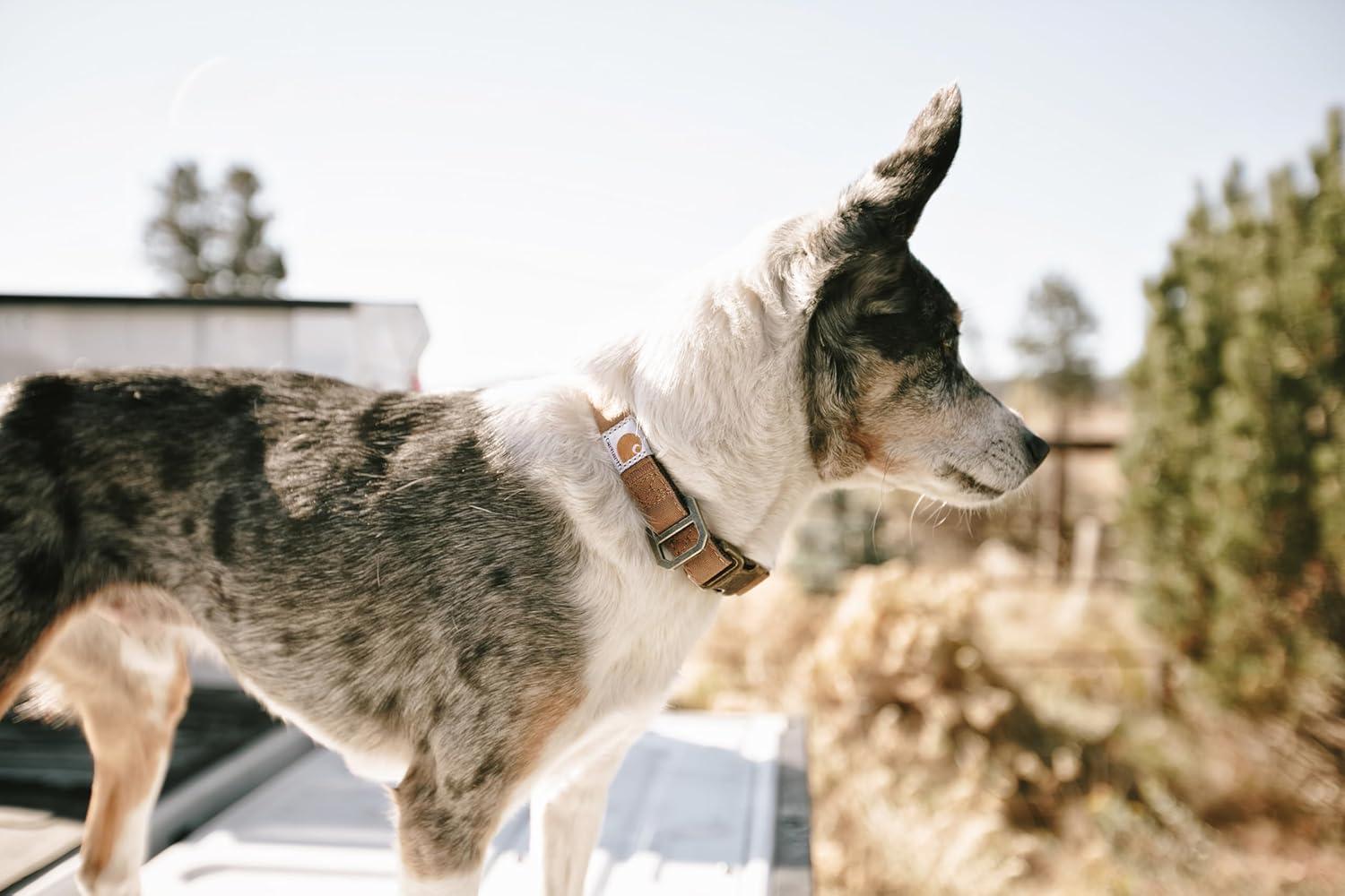 imageCarhartt Pet Fully Adjustable Webbing Collars for Dogs Reflective Stitching for Visibility Blanket Stripe LargeCarhartt Brown Nylon Canvas Webbing