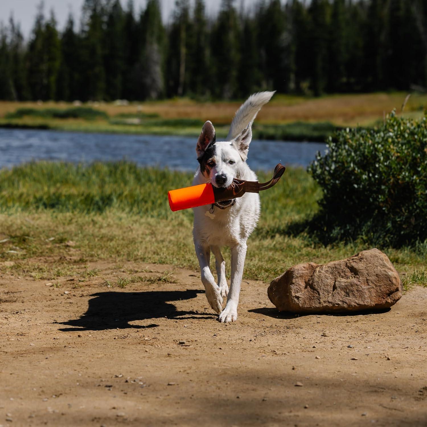 imageCarhartt Pet Training Tool Dog Retrieving Bumper Rugged Nylon Duck Canvas Training Bumper Designed for Retrieval Training Hunter OrangeHunter Orange