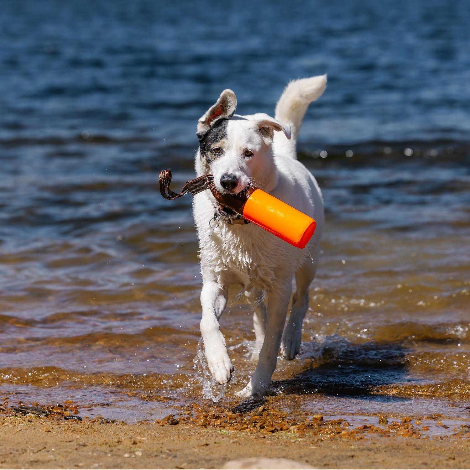 imageCarhartt Pet Training Tool Dog Retrieving Bumper Rugged Nylon Duck Canvas Training Bumper Designed for Retrieval Training Hunter OrangeHunter Orange