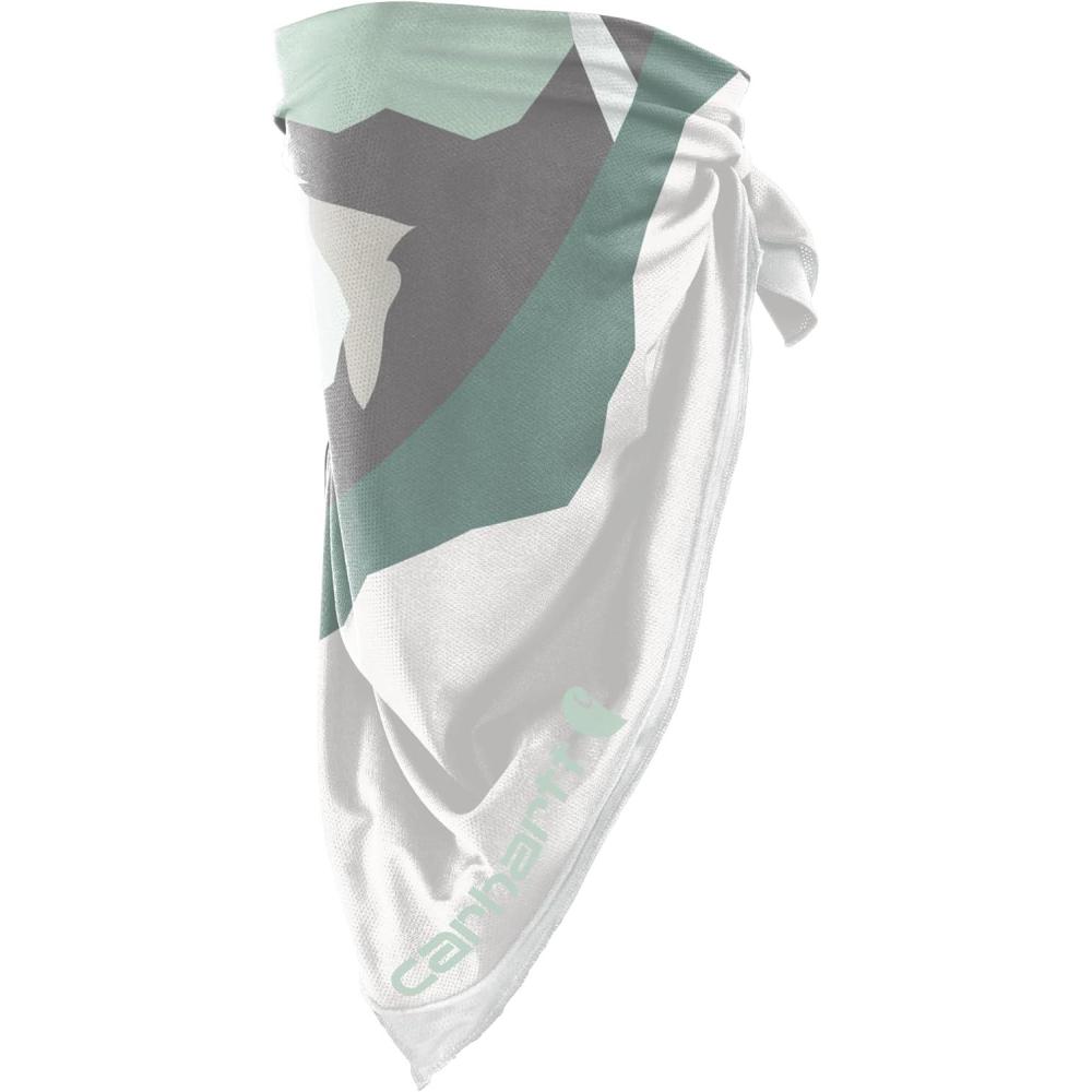 imageCarhartt unisexadult Force Lightweight BandanaMountain Printbig SkyWhite