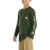Carhartt Boys’ Long-Sleeve Logo Sleeve Pocket T-Shirt(Mountain View)