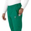 Carhartt Mens Men’s Force Straight Leg Pant(Hunter)