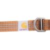 Carhartt Nylon Webbing Dog Collar, Fully Adjustable W/Durable Side Release Buckle, Hunter Orange, Large(Carhartt Brown)