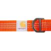 Carhartt Nylon Webbing Dog Collar, Fully Adjustable W/Durable Side Release Buckle, Hunter Orange, Large(Hunter Orange)