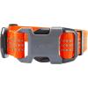 Carhartt Nylon Webbing Dog Collar, Fully Adjustable W/Durable Side Release Buckle, Hunter Orange, Large(Hunter Orange)