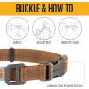 Carhartt Pet Fully Adjustable Webbing Collars for Dogs, Reflective Stitching for Visibility, Blanket Stripe, Large(Carhartt Brown (Nylon Webbing))