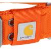Carhartt Pet Fully Adjustable Wide Webbing Collar for Dogs, Heavy Duty Nylon for Walking & Training, Black, Medium(Blaze Orange)