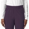 Carhartt Scrubs for Women, Force Crossflex StraightLeg Cargo Pants with Drawstring and 7 Pockets(Black Plum)