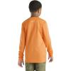 Carhartt Unisex Kids Long Sleeve Force Sun Defender T-Shirt(Orange)
