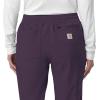 Carhartt Women’s Force Cross-Flex Modern Fit Cargo Jogger Scrub Pants(Black Plum)