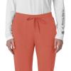 Carhartt Women’s Force Cross-Flex Modern Fit Cargo Jogger Scrub Pants(Dusty Cedar)