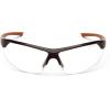 Carhartt-CHB1110DT Braswell Anti-Fog Safety Glasses Eye Protection, Black Frame, Clear Lens(Clear Anti-fog Lens/ Black Frame)