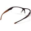 Carhartt-CHB1110DT Braswell Anti-Fog Safety Glasses Eye Protection, Black Frame, Clear Lens(Clear Anti-fog Lens/ Black Frame)