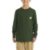 Carhartt Boys’ Long-Sleeve Logo Sleeve Pocket T-Shirt(Mountain View)