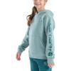 Carhartt Girls’ Hooded Pullover Sweatshirt(Patina)