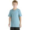 Carhartt Kid’s CA6655 Short-Sleeve Pocket T-Shirt – Unisex(Adriatic Blue (Tonal))