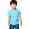 Carhartt Kids’ Short Sleeve Pocket T-Shirt Tee Shirt(Blue Horizon)