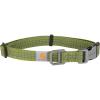 Carhartt Nylon Webbing Dog Collar, Fully Adjustable W/Durable Side Release Buckle, Hunter Orange, Large(Light Moss)