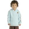 Carhartt boys Long-sleeve Half-zip Hooded Sweatshirt(Starlight Blue)