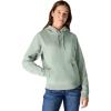 Carhartt womens Relaxed Fit Midweight Garment Dye French Terry Hooded Sweatshirt(Seabrook)