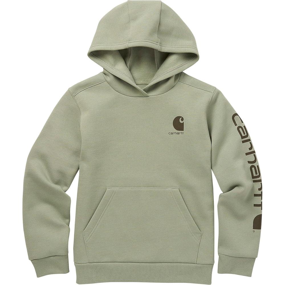 imageCarhartt boys Hoodie Fleece Pullover SweatshirtHooded SweatshirtJade