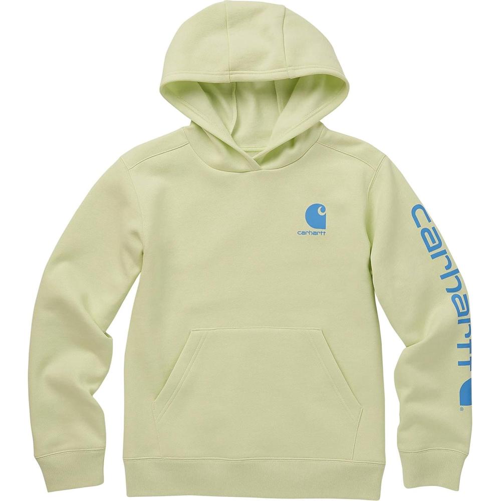 imageCarhartt boys Hoodie Fleece Pullover SweatshirtHooded SweatshirtLime Cream