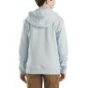Carhartt boys Hoodie Fleece Pullover SweatshirtHooded Sweatshirt(Cashmere Blue)