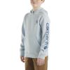 Carhartt boys Hoodie Fleece Pullover SweatshirtHooded Sweatshirt(Cashmere Blue)