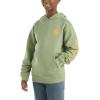 Carhartt boys Hoodie Fleece Pullover SweatshirtHooded Sweatshirt(Loden Frost Green)