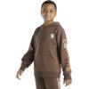 Carhartt boys Hoodie Fleece Pullover SweatshirtHooded Sweatshirt(Med Brown)