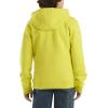 Carhartt boys Hoodie Fleece Pullover SweatshirtHooded Sweatshirt(Sulphur Spring)