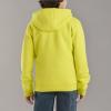 Carhartt boys Hoodie Fleece Pullover SweatshirtHooded Sweatshirt(Sulphur Spring)
