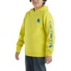 Carhartt boys Hoodie Fleece Pullover SweatshirtHooded Sweatshirt(Sulphur Spring)